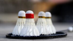 India badminton team