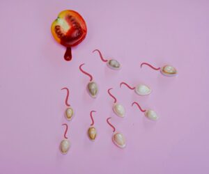 declining sperm counts